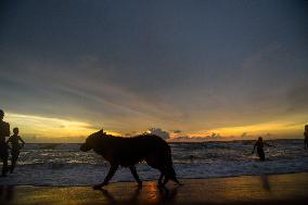 Daily Life In Colombo