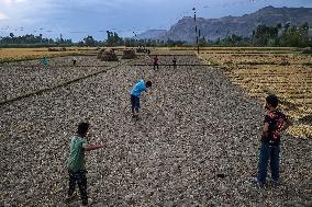 Daily Life In Kashmir