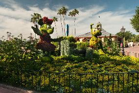 Disney's EPCOT Flower And Garden Show