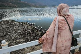 Dry Weather In Kashmir