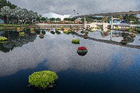 Disney's EPCOT Flower And Garden Show