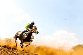 West Java Indonesia Traditional Horse Racing Competition