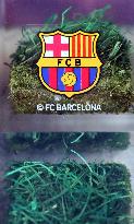 FC Barcelona has put the Camp Nou grass up for sale