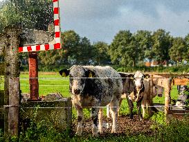 Autumn Weather In The Countryside Of The Netherlands.