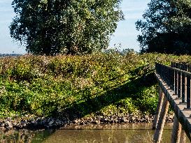 Autumn Weather In The Countryside Of The Netherlands.