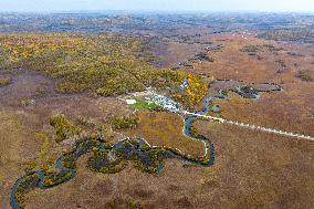 Nanweng River International Wetland