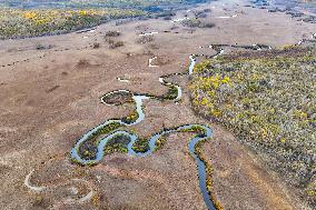 Nanweng River International Wetland