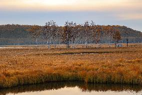 Nanweng River International Wetland