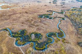 Nanweng River International Wetland