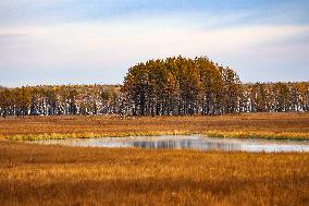 Nanweng River International Wetland