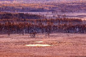 Nanweng River International Wetland