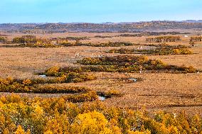 Nanweng River International Wetland