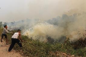 Land Fires In Ogan Ilir, South Sumatra Spread