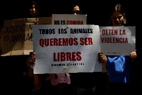 Animal Rights Activists Protest Outside The Italian Embassy In Mexico City