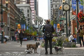 Daily Life In Calgary