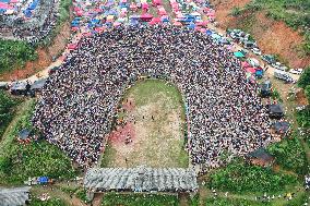 Bullfight in Congjiang