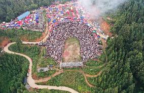 Bullfight in Congjiang