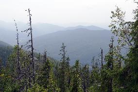 Ukrainian Carpathians from Polonyna Yavirnyk