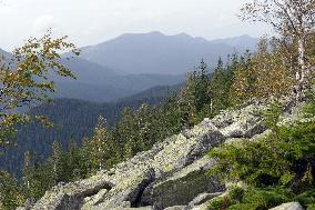 Ukrainian Carpathians from Polonyna Yavirnyk