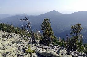 Ukrainian Carpathians from Polonyna Yavirnyk