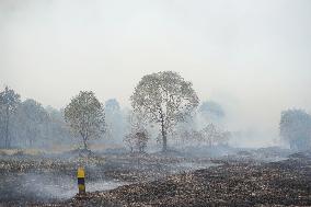INDONESIA-SOUTH KALIMANTAN-PEATLAND FIRE