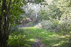 Journey of Lina from her home towards the train station of Saint-Blaise-la-Roche