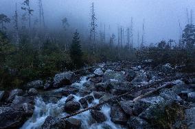 Tourism In Slovakia High Tatra Mountains