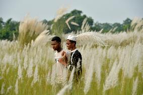 BANGLADESH-DHAKA-KANS-GRASS