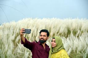 BANGLADESH-DHAKA-KANS-GRASS