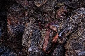 Platsdarm search team body collectors