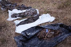 Platsdarm search team body collectors