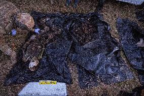 Platsdarm search team body collectors