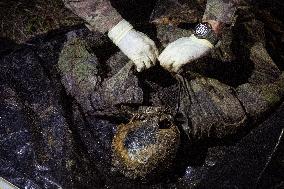 Platsdarm search team body collectors