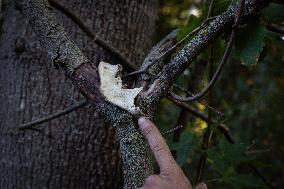 Platsdarm search team body collectors