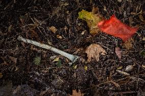 Platsdarm search team body collectors