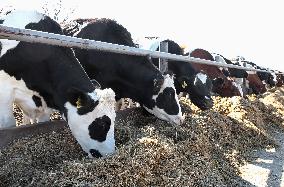 Farm in Chernihiv Region damaged in Russian shelling