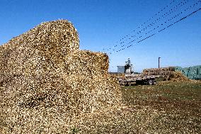Farm in Chernihiv Region damaged in Russian shelling