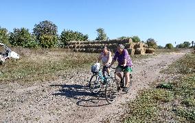 Farm in Chernihiv Region