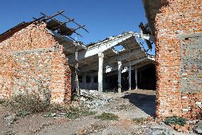 Farm in Chernihiv Region