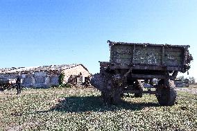 Farm in Chernihiv Region