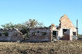 Farm in Chernihiv Region