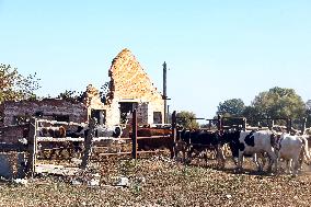 Farm in Chernihiv Region