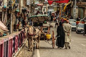 Daily Life In Kashmir