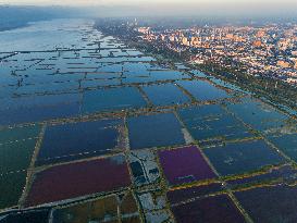 CHINA-SHANXI-YUNCHENG-SALT LAKE-SUNRISE (CN)