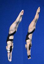 (SP)CHINA-HANGZHOU-ASIAN GAMES-DIVING (CN)