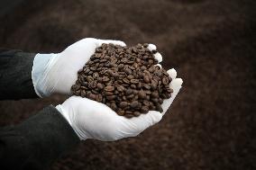 Coffee Factory In Gaza City