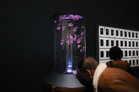 Parfums d'Orient Exhibition - Paris