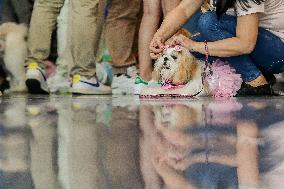 PHILIPPINES-PASAY CITY-WORLD ANIMAL DAY-EVENT
