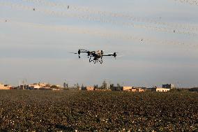 Drone Farming in Hami