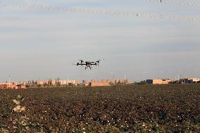 Drone Farming in Hami